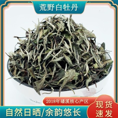福鼎白茶华茶1号磻溪荒野花香白牡丹 小菜茶老土茶太姥洋产区批发图3