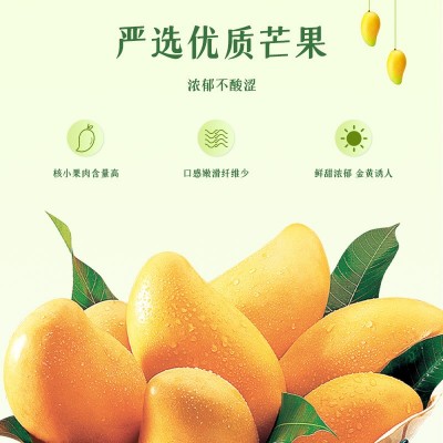 批发大片芒果干100g袋装干过蜜饯休闲零食健康营养图3