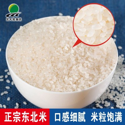 北大荒东北大米10斤珍珠米真空装新米上市大米5kg香米珍珠米粳米图2
