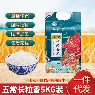 厂家东北五常大米长粒香米九洲有道 5kg真空包装图4