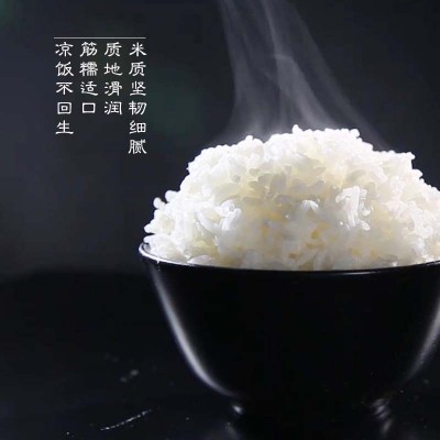 珍珠米东北大米1斤新米圆粒500g装农家粳米批发代发图3