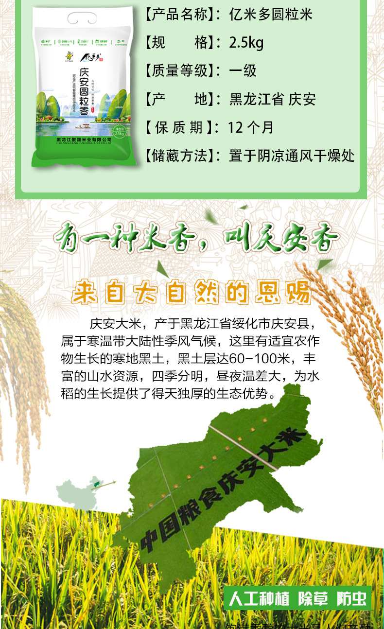 绿白圆粒-2_02