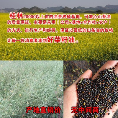 食用油非转菜籽油 浓香型菜籽油 5L纯正压榨菜籽食用植物油工厂直图3