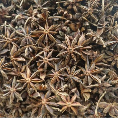 广西天然晒干无硫大红八角一级干枝纸袋装500g图4