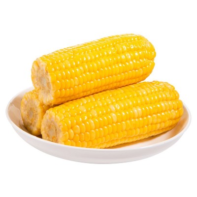 广西水果玉米棒鲜嫩甜玉米230gX8袋基地厂家直批即食真空粗粮代餐图4