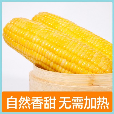 猴即水果甜玉米260gX8袋厂家直供可一件代发鲜嫩真空开袋即食代餐图2
