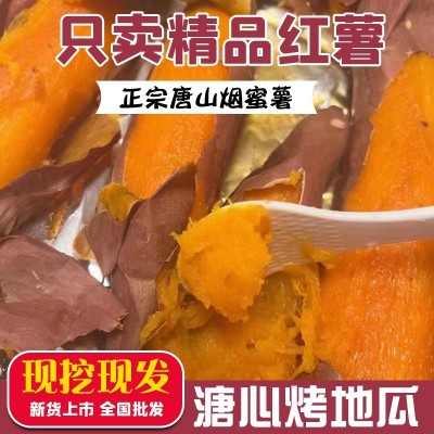正宗唐山烟蜜薯糖心蜜薯新鲜红薯现挖现发供应烤地瓜甜糯流蜜番薯图3