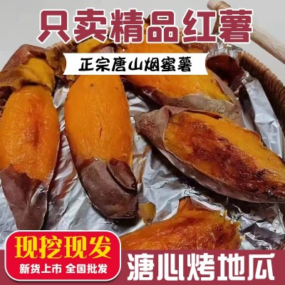 正宗唐山烟蜜薯糖心蜜薯新鲜红薯现挖现发供应烤地瓜甜糯流蜜番薯图2