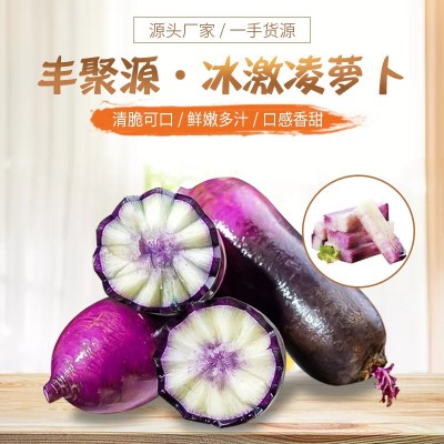 冰淇淋水果萝卜新鲜冰激凌萝卜红冰糖心甜脆生吃礼盒装水果紫萝卜