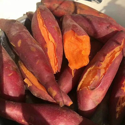 现货批发山东烟台烟薯25号红薯新鲜香甜沙地蜜薯烤地瓜5斤装流油图4