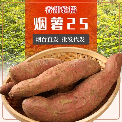 现货批发山东烟台烟薯25号红薯新鲜香甜沙地蜜薯烤地瓜5斤装流油