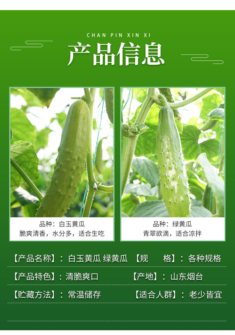 上海青详情_09