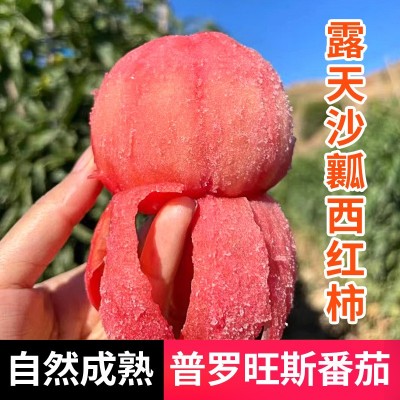 凉慕攀枝花普罗旺斯番茄自然熟西红柿露天新鲜洋柿子薄皮水果蔬菜图2