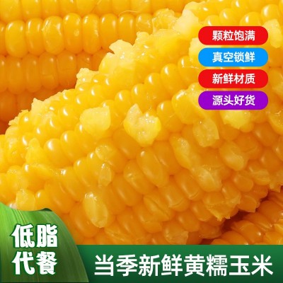 东北黄玉米棒整箱8根220克粗粮香甜软糯真空独立包装电商代发玉米图3