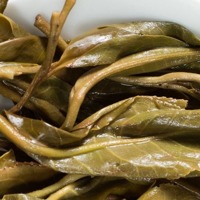 竹林寨古树龙珠茶 普洱生茶 晒青绿茶 各种散茶厂家 干燥通风