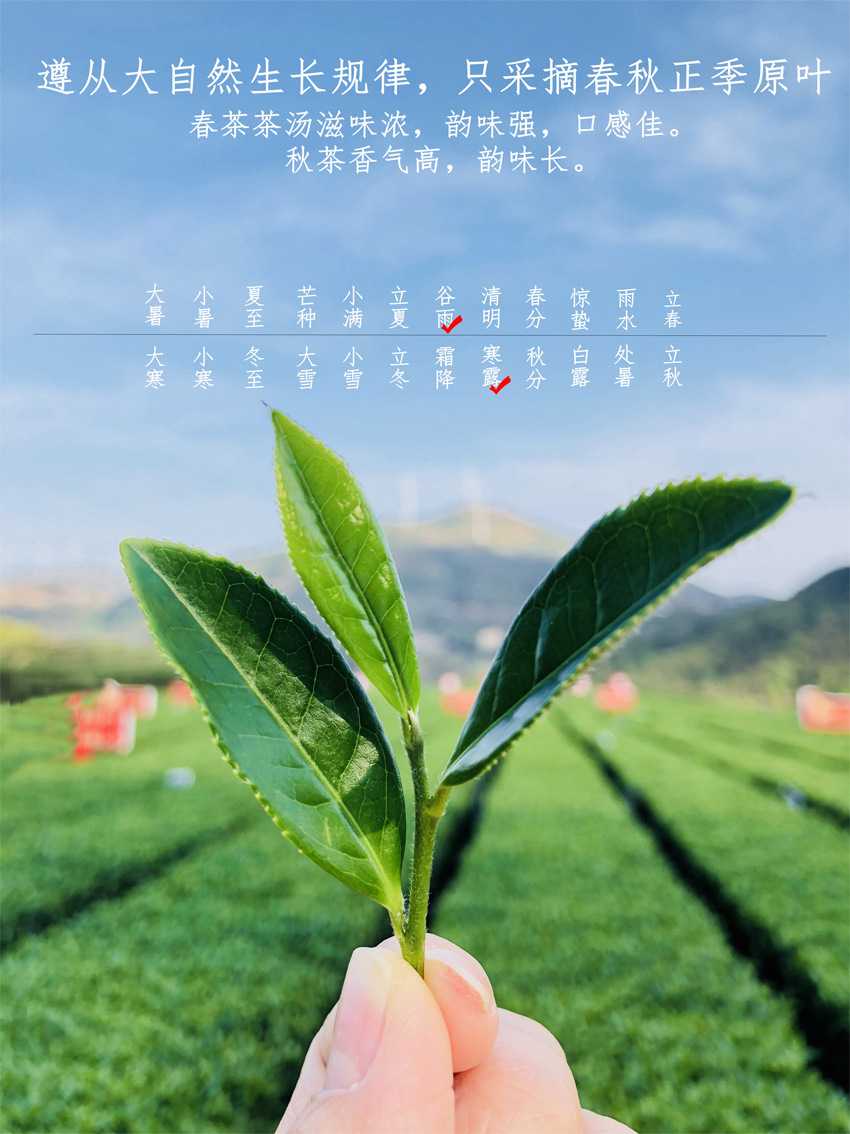 24节气图
