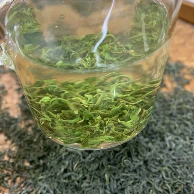 新茶 松阳香茶春茶 散装绿茶浓香高山绿茶批发500g图3