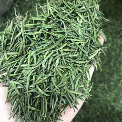 新茶碧云涧峨眉山云雾绿茶青针雨前雀舌绿茶茶叶批发500g