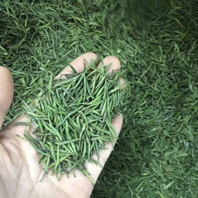新茶碧云涧峨眉山云雾绿茶青针雨前雀舌绿茶茶叶批发500g图3