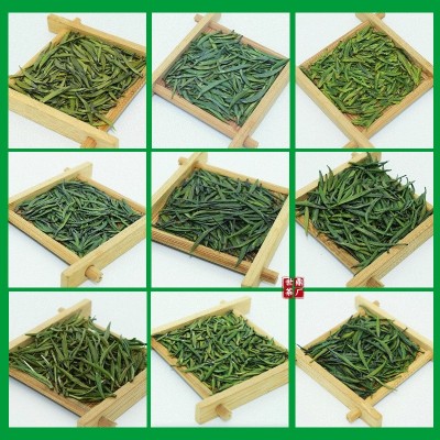 竹青叶雀舌新茶2024特级绿茶四川峨眉山明前单芽散装批发 龙芽翠芽图2