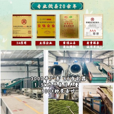 竹青叶雀舌新茶2024特级绿茶四川峨眉山明前单芽散装批发 龙芽翠芽图4