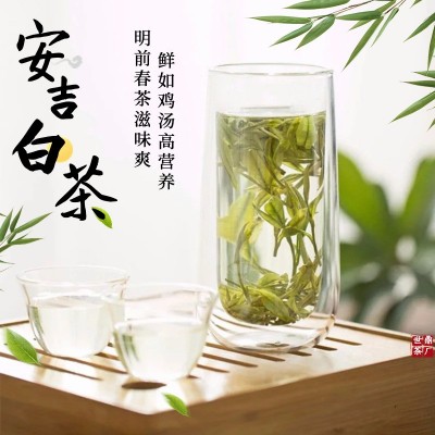 安吉白茶2024新茶明前茶口粮茶茶叶批发散茶铁罐礼盒装一 件代发