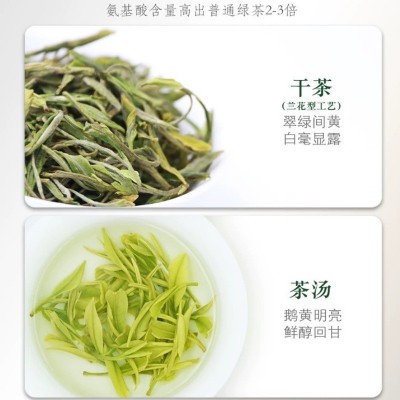 安吉白茶2024新茶明前茶口粮茶茶叶批发散茶铁罐礼盒装一 件代发图2