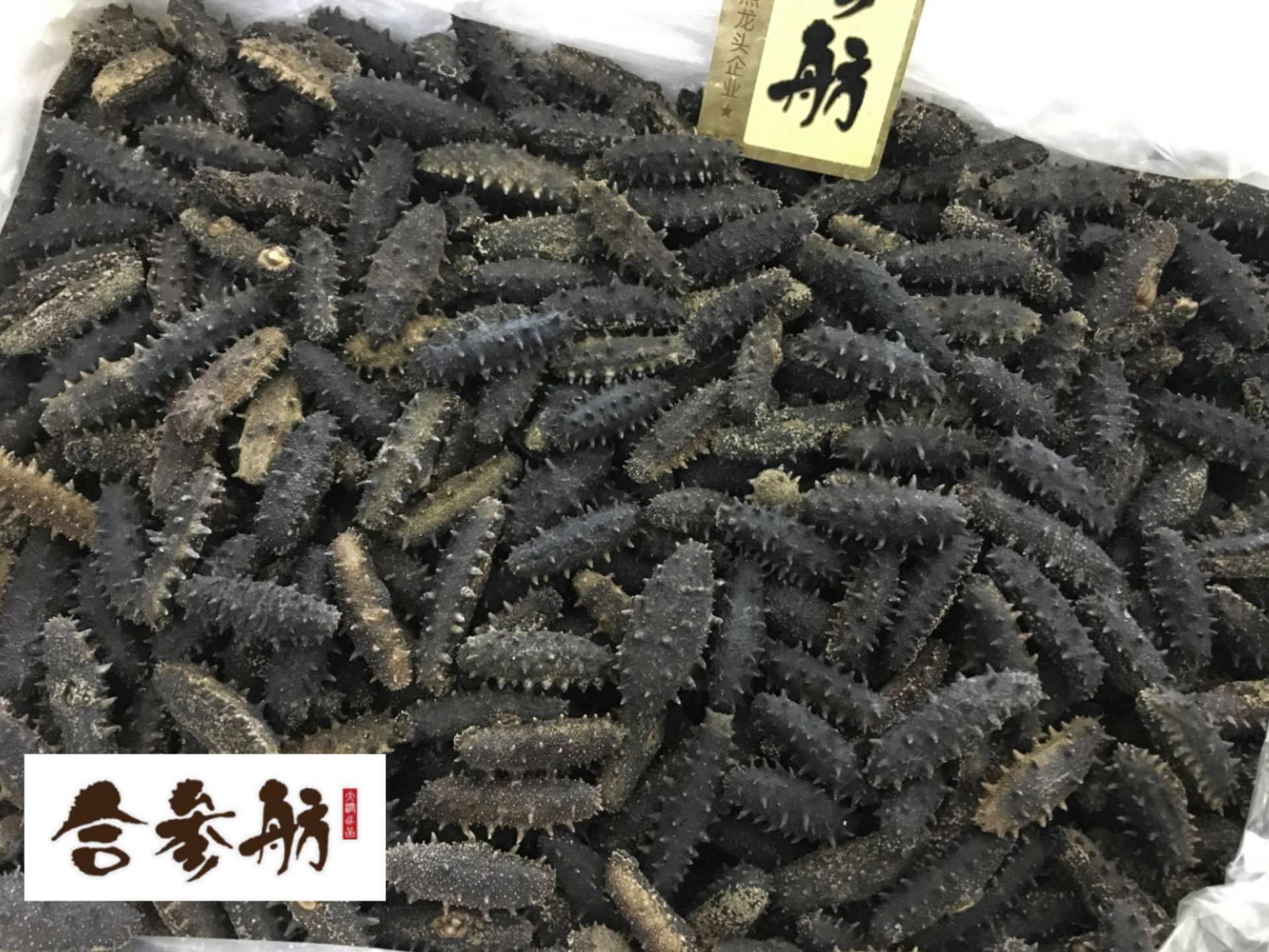 微信图片_20191212123144