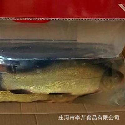李芹活鱼 批发丁桂鱼活鱼礼包/海鲜礼包/原产新疆/包邮一件代发图3
