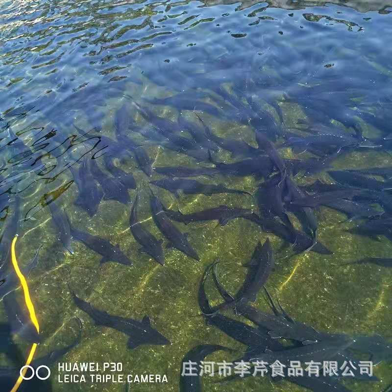 微信图片_20210720161759.jpg