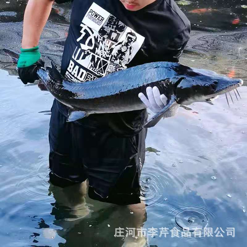 微信图片_20210720161739.jpg