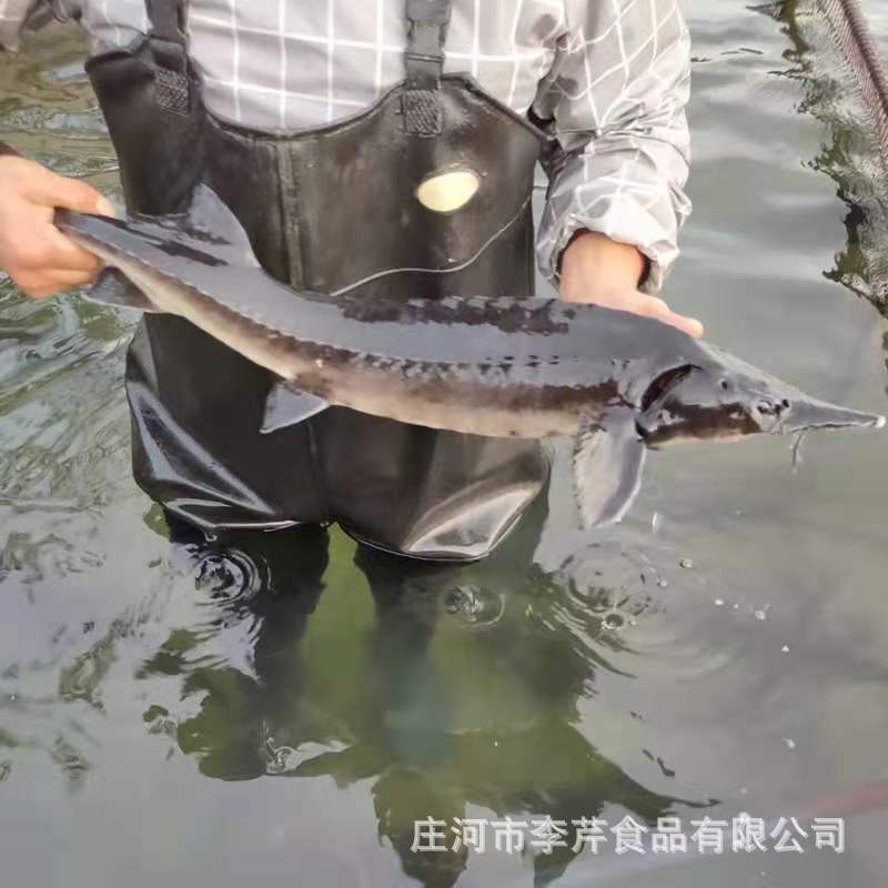 微信图片_20210720161744.jpg