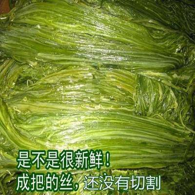 食用梗丝盐渍裙带菜梗丝嫩新鲜梗丝15kg/箱图3