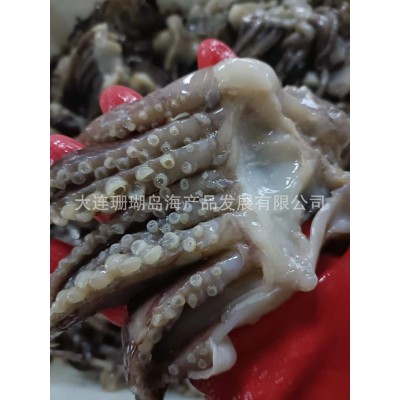 鱿鱼鲜八爪、鱿鱼须、鱿鱼头图3