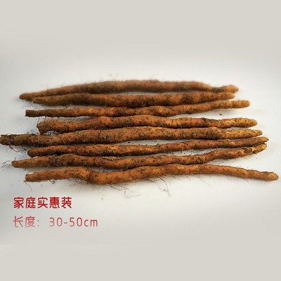 批发温县铁棍山药 5斤山药礼盒 50cm 焦作铁棍山药 河南特产图2