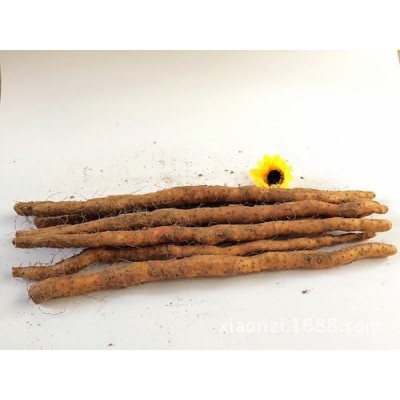 批发温县铁棍山药 5斤垆土山药礼盒 60cm 焦作铁棍山药 河南特产图4