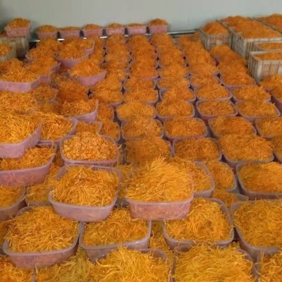 大孢子头北虫草子实体切割虫草花 干货食用菌 金虫草图3