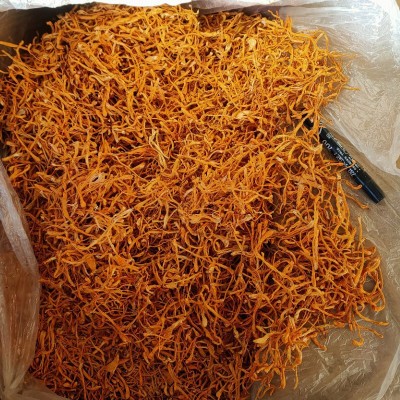 大孢子头北虫草子实体切割虫草花 干货食用菌 金虫草图2