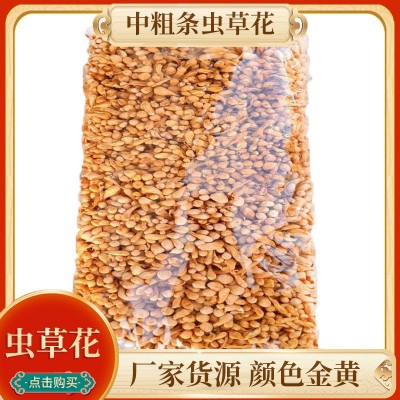 散装原料批发中粗条虫草花可食用美味虫草菌花排草带孢子头金虫草