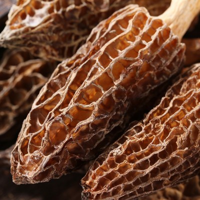 厂家现货羊肚菌干货50g罐装云南特产食用菌酒店食材产地货源图2