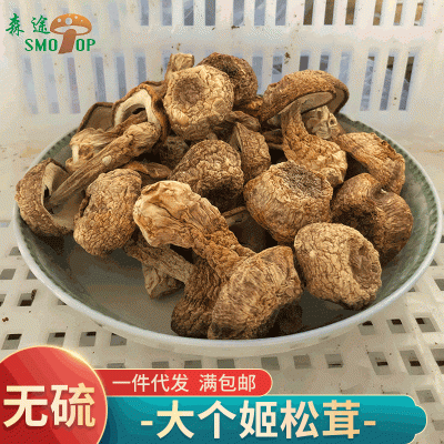 云南姬松茸大个干货 巴西菇蘑菇食用菌散装500g 松茸菌批发