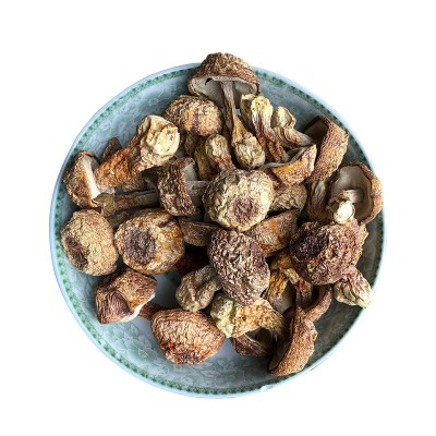 云南姬松茸大个干货 巴西菇蘑菇食用菌散装500g 松茸菌批发图4