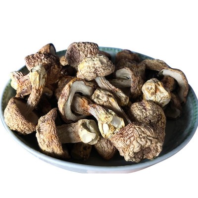 云南姬松茸大菇干货 巴西菇蘑菇食用菌散装厂家 松茸菌批发图3