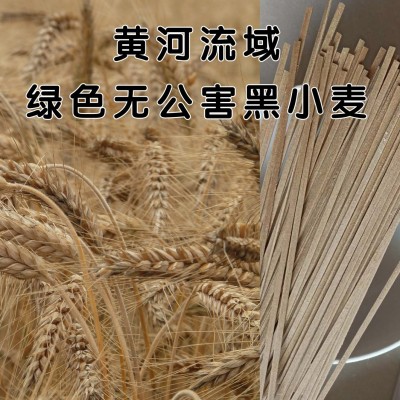 定制加工贴牌黑小麦挂面图2
