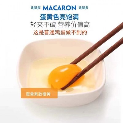 富硒无抗鸡蛋新鲜无沙门氏菌鸡蛋孕幼可食用当日现捡360枚一箱图4