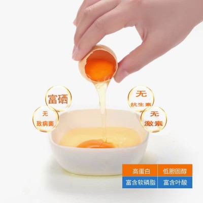 富硒无抗鸡蛋新鲜无沙门氏菌鸡蛋孕幼可食用当日现捡360枚一箱图3