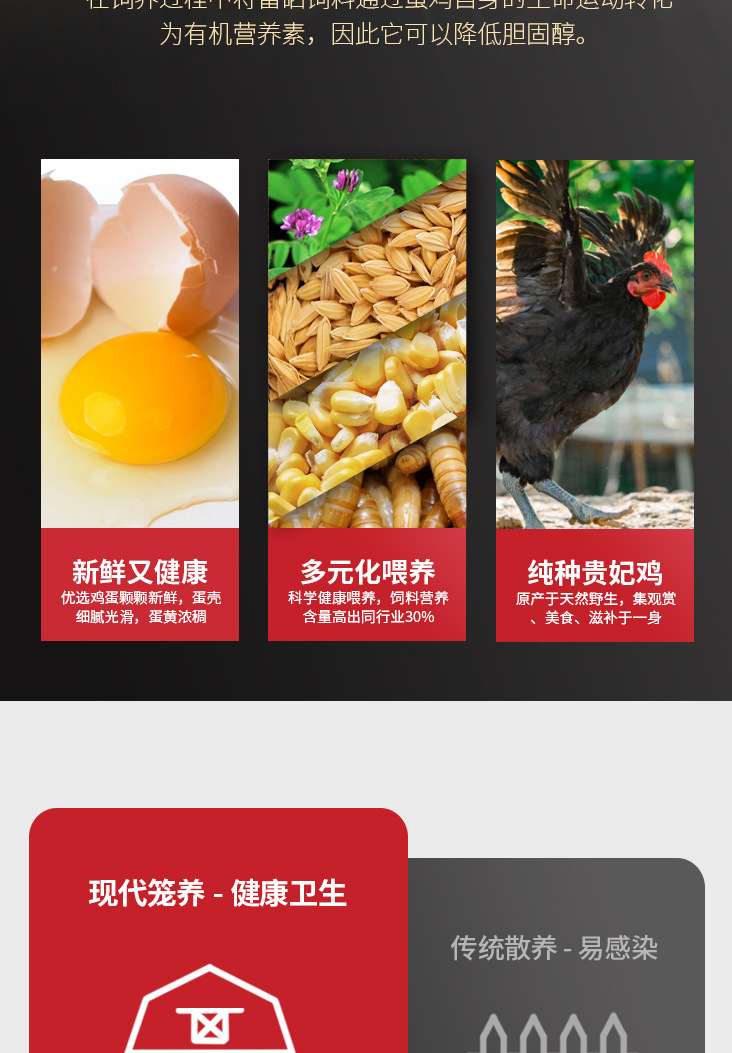 详情页二稿7.jpg