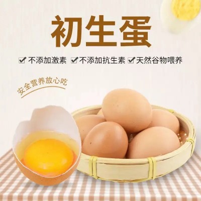 初生蛋无抗富硒新鲜360枚40克以下非柴土散养生食鸡蛋整5箱批发图2
