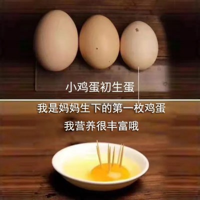 初生蛋无抗富硒新鲜360枚40克以下非柴土散养生食鸡蛋整5箱批发图3