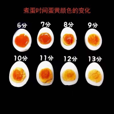富硒无抗可生食鸡蛋新鲜无门氏菌鸡蛋孕幼当日360枚整10箱批发图4